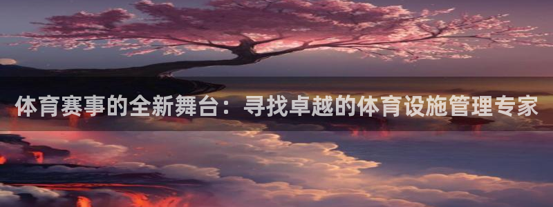 意昂体育4平台是正规平台吗安全吗：体育赛事的全新舞台：寻找卓