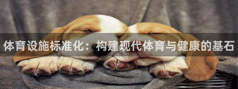 意昂体育4招商电话是多少：体育设施标准化：构建现代体育与健康 