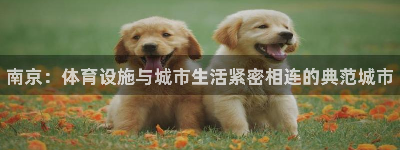 意昂体育4招商电话号码是多少号：南京：体育设施与城市生活紧密