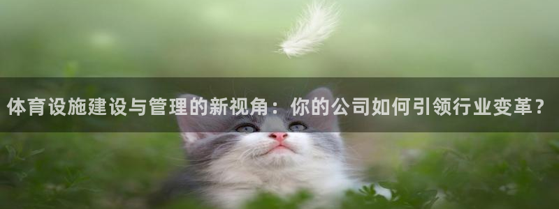意昂4五金厂：体育设施建设与管理的新视角：你的公司如何引领行