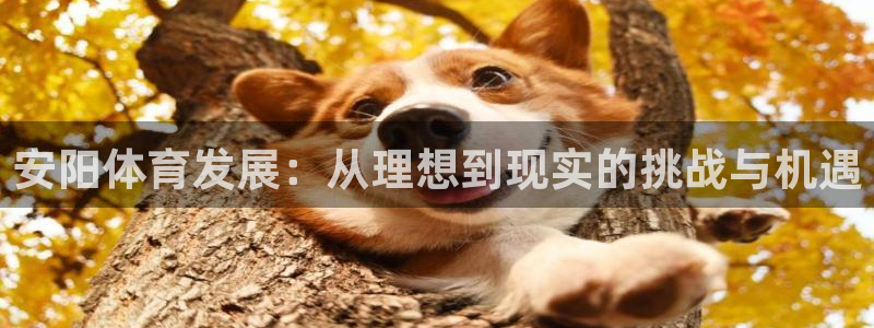 意昂4集团官网首页网址：安阳体育发展：从理想到现实的挑战与机