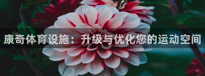 意昂体育4平台APP：康奇体育设施：升级与优化您的运