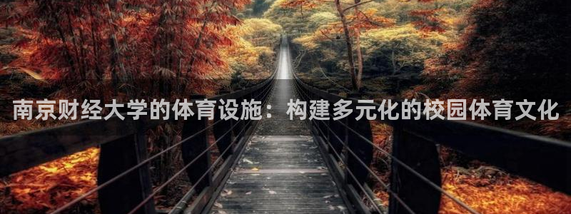 意昂体育4招商电话号码查询：南京财经大学的体育设施：构建多元