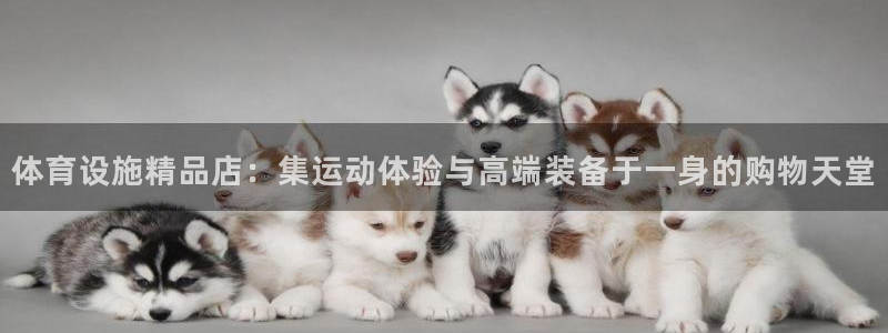 意昂体育4注册：体育设施精品店：集运动体验与高端装备