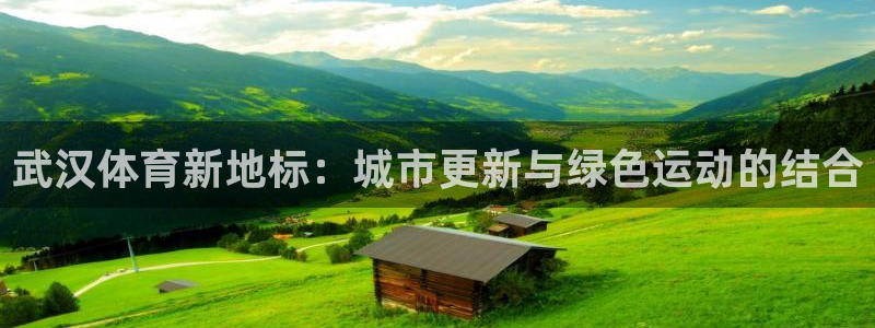 德国意昂4集团：武汉体育新地标：城市更新与绿色运动的