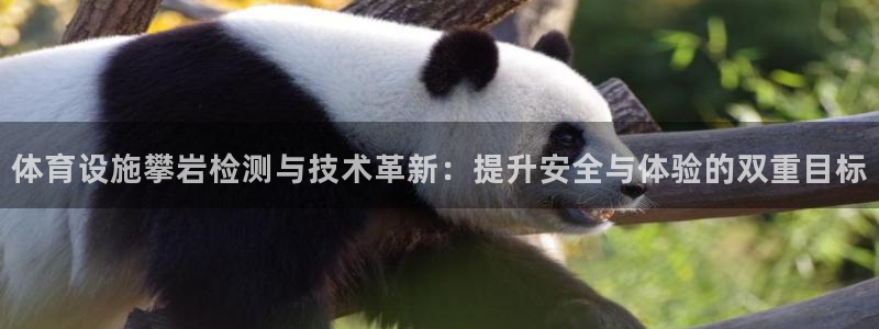 意昂4娱乐：体育设施攀岩检测与技术革新：提升安全与体验的双重