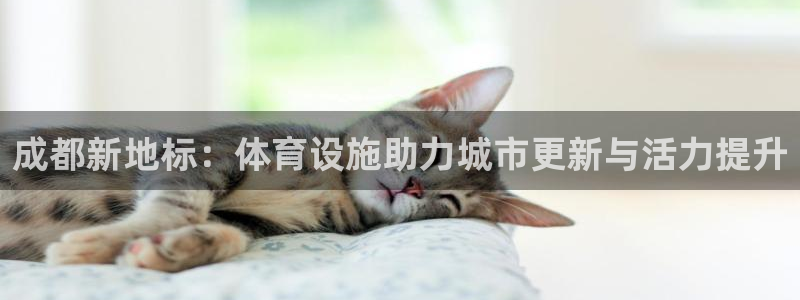 意昂体育4平台注册流程视频：成都新地标：体育设施助力城市更新