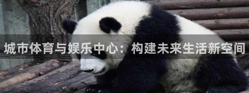 意昂体育4平台注册要钱吗：城市体育与娱乐中心：构建未来生活新