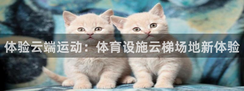 意昂4集团简介：体验云端运动：体育设施云梯场地新体验