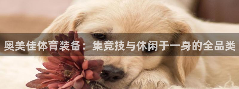 意昂体育4联系电话：奥美佳体育装备：集竞技与休闲于一身的全品
