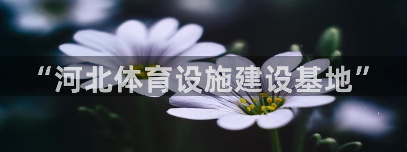 意昂体育4平台假的吗是真的吗吗：“河北体育设施建设基地”