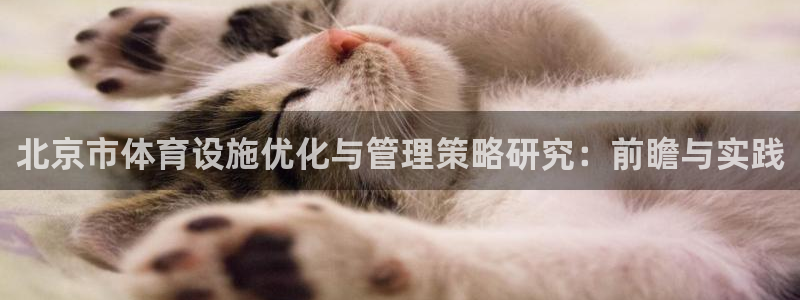 意昂4集团简介：北京市体育设施优化与管理策略研究：前瞻与实践