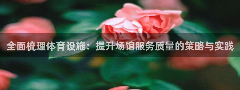 意昂4娱乐首页网站大全