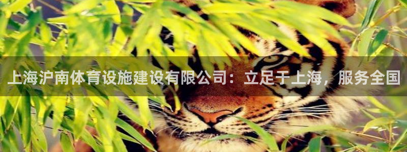 意昂体育4平台是正规平台吗：上海沪南体育设施建设有限公司：立
