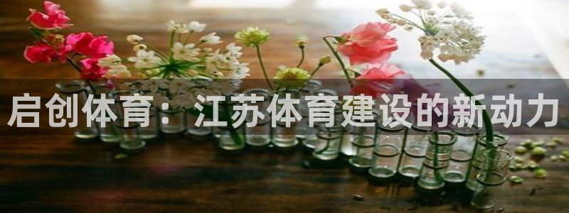 意昂体育4招商电话地址查询：启创体育：江苏体育建设的新动力