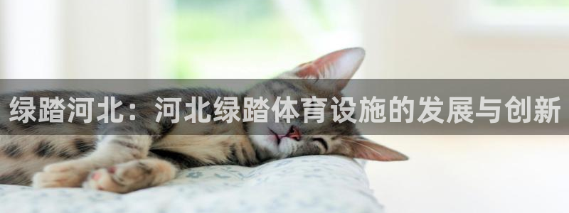意昂体育4平台假的吗是真的吗吗：绿踏河北：河北绿踏体育设施的