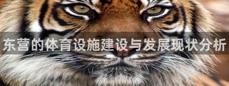 意昂体育4平台假的吗是真的吗：东营的体育设施建设与发展现状分 