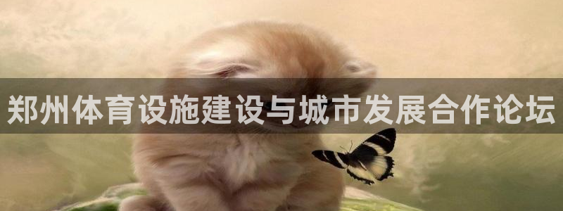 意昂体育4招商电话地址是多少：郑州体育设施建设与城市发展合作