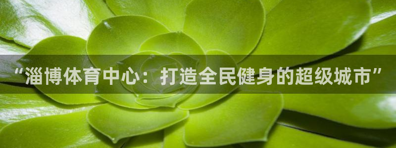 意昂4娱乐是那个系列的台子
