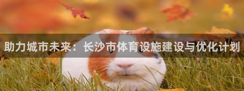 意昂4集团官网首页：助力城市未来：长沙市体育设施建设与优化计