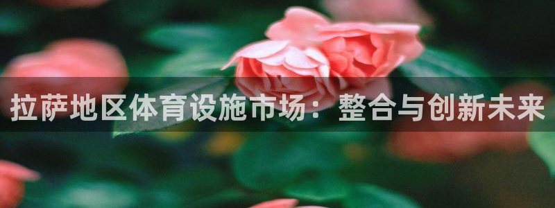 意昂体育4招商电话地址查询