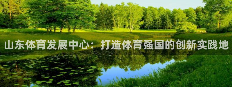 意昂4集团logo：山东体育发展中心：打造体育强国的创新实践