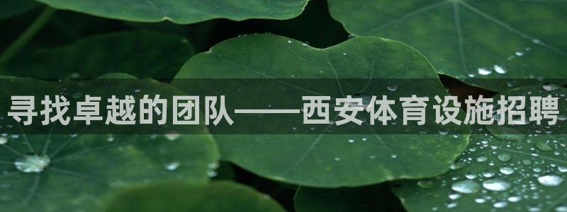 意昂4娱乐是那个系列的台子：寻找卓越的团队——西安体育设施招