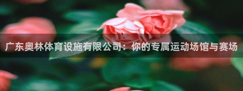 意昂4娱乐平台：广东奥林体育设施有限公司：你的专属运动场馆与