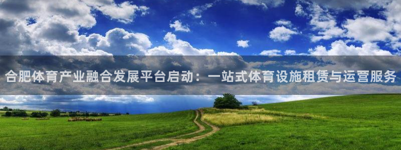 意昂4新能源：合肥体育产业融合发展平台启动：一站式体