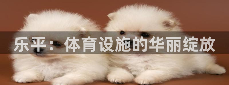 意昂4集团：乐平：体育设施的华丽绽放 