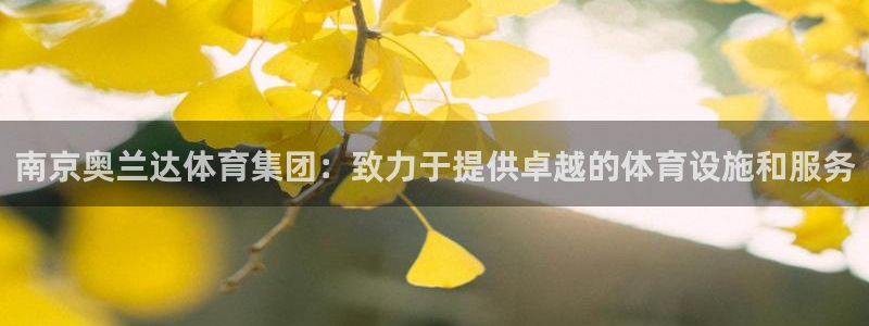 意昂体育4招商：南京奥兰达体育集团：致力于提供卓越的