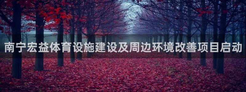 意昂体育4平台注册：南宁宏益体育设施建设及周边环境改善项目启