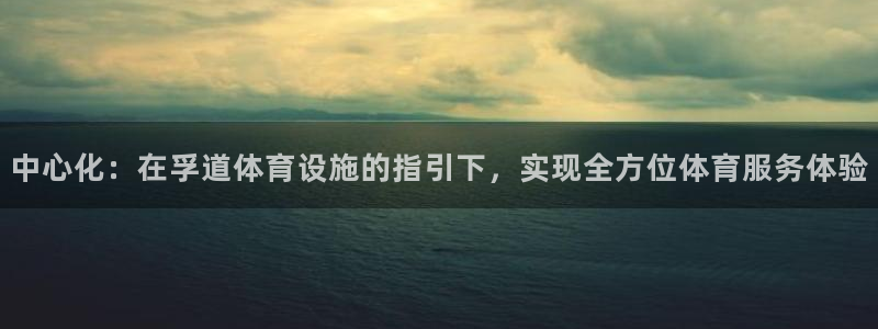 意昂4娱乐首页网站大全：中心化：在孚道体育设施的指引下，实现
