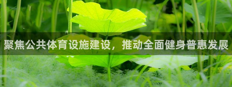 意昂体育4：聚焦公共体育设施建设，推动全面健身普惠发展