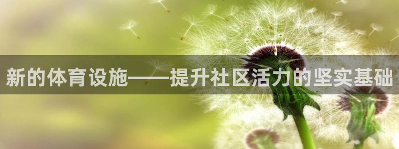 意昂体育4是干嘛的公司：新的体育设施——提升社区活力的坚实基 