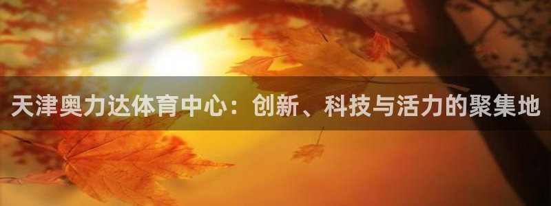 意昂4娱乐网站：天津奥力达体育中心：创新、科技与活力的聚集地