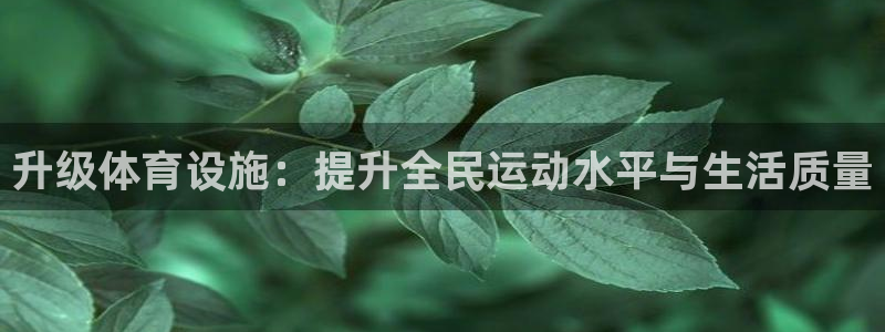 意昂体育4平台是正规平台吗知乎：升级体育设施：提升全民运动水 